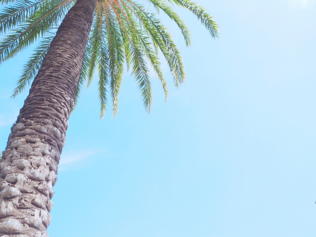 離婚を切り出されたあなたへ｜冷静に考えるための3つのステップ